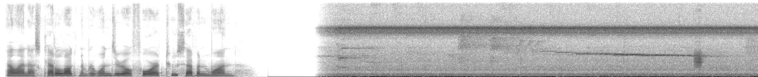 Black-tailed Tityra (Western) - ML104271