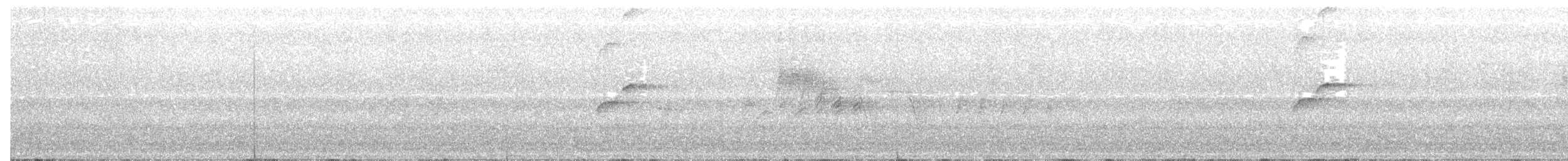 Batı Amerika Sinekkapanı (occidentalis/hellmayri) - ML104303751