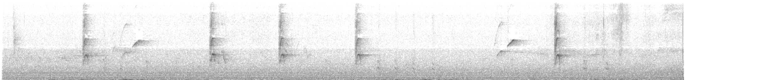 Batı Amerika Sinekkapanı (occidentalis/hellmayri) - ML104306851