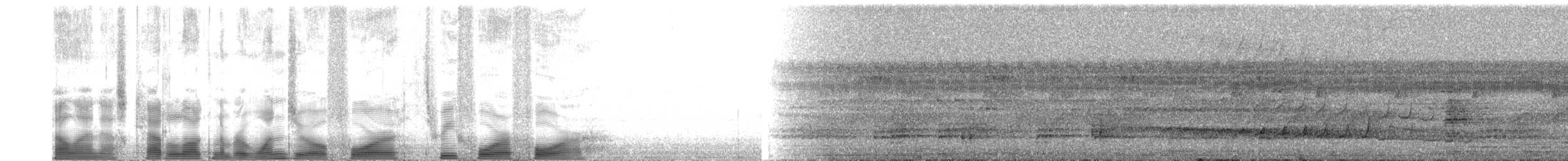 amazonvatretreløper (concolor) - ML104344