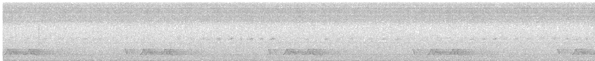Chuck-will's-widow - ML104348281