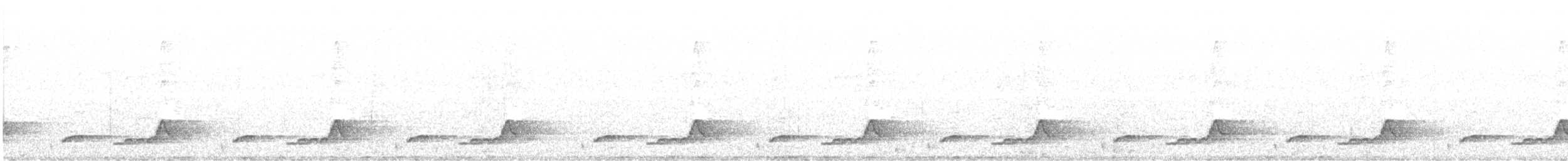 Schwarzkehl-Nachtschwalbe - ML104361991
