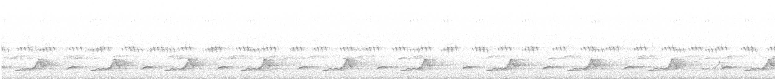 Schwarzkehl-Nachtschwalbe - ML104362001