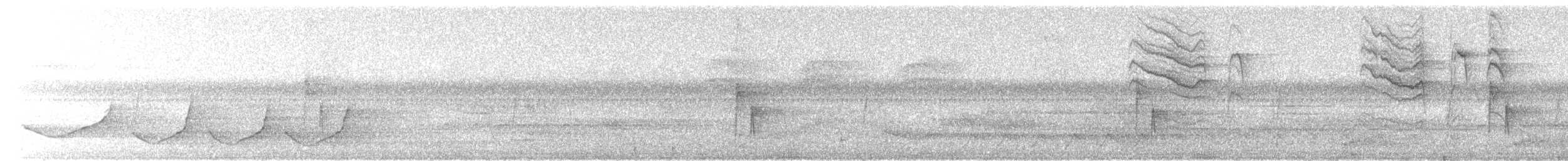 ブユムシクイ - ML104373811