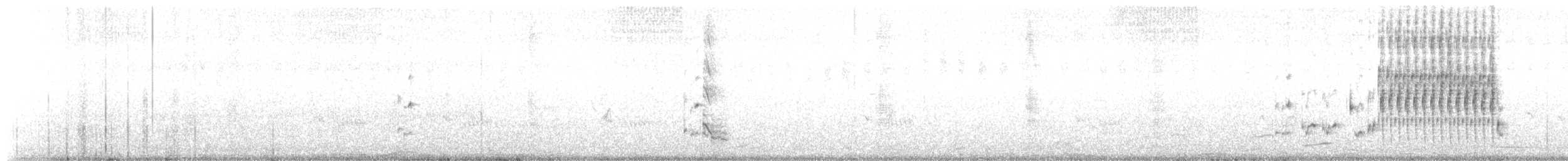 Bataklık Çıtkuşu (griseus) - ML104375491