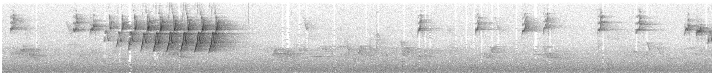 Prothonotary Warbler - ML104379221