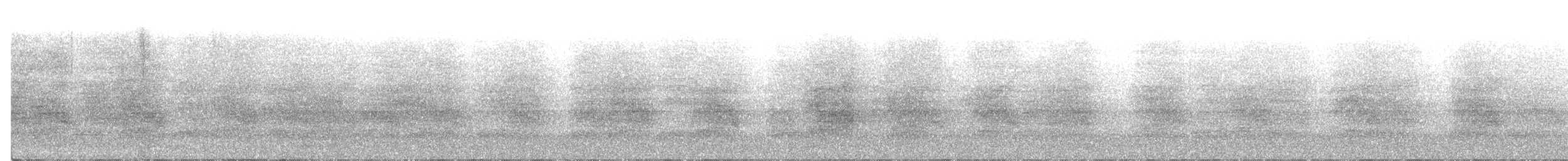 Geai de Steller - ML104388481