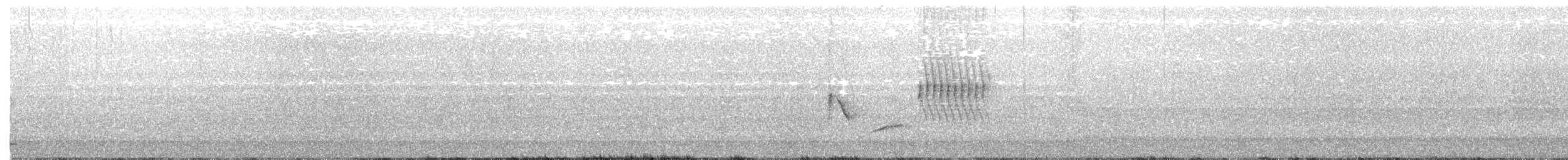 Spotted x Eastern Towhee (hybrid) - ML104408311