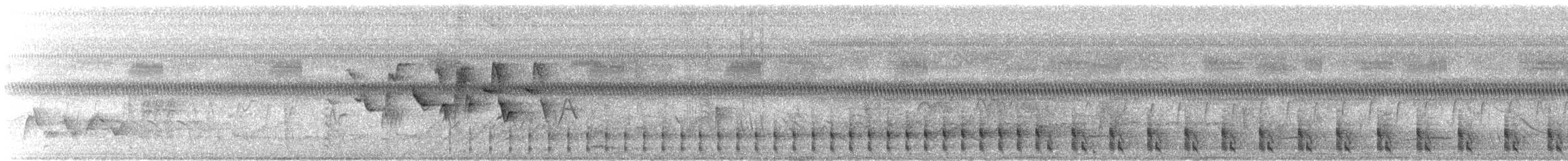 קוקיה צהובת-מקור - ML104420831