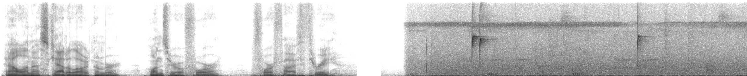 Прямоклювый колибри-отшельник (bourcieri) - ML104453