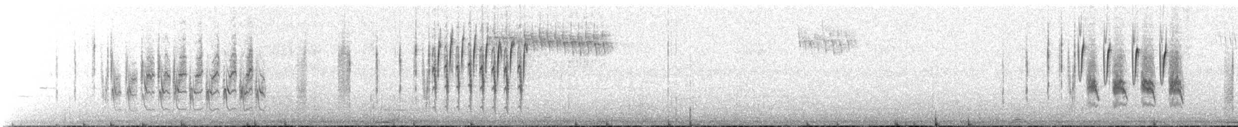 Troglodyte de Latham - ML104485631