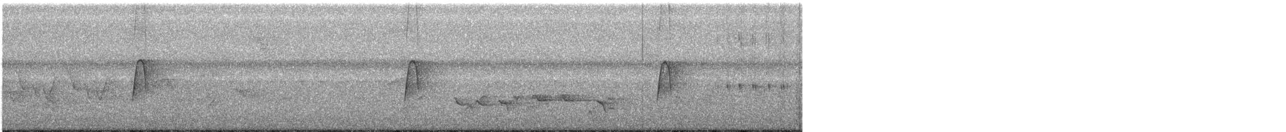 Acadian Flycatcher - ML104486111