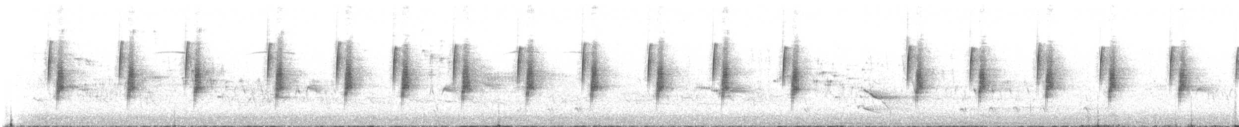 Least Flycatcher - ML104489111