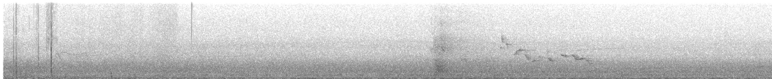 passerine sp. - ML104505831