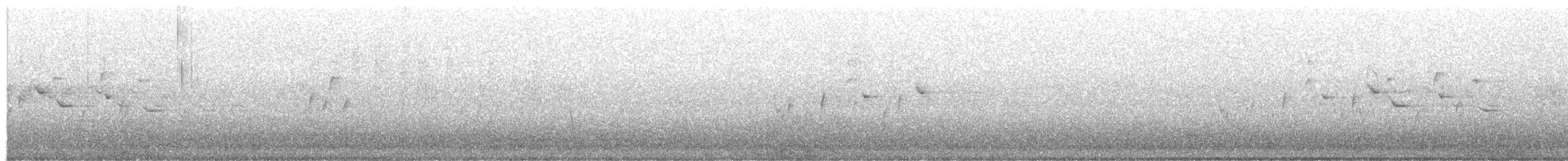 passerine sp. - ML104505861