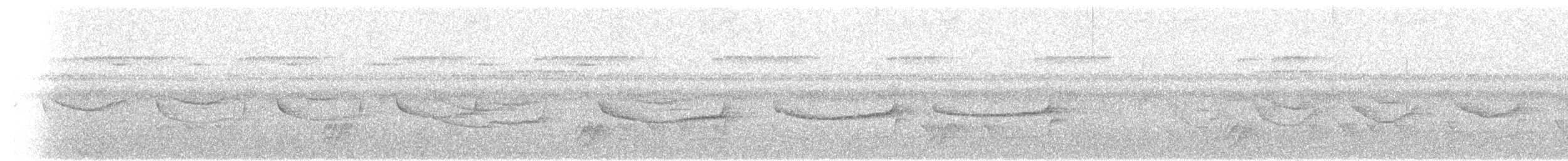 Band-tailed Antwren - ML104517691