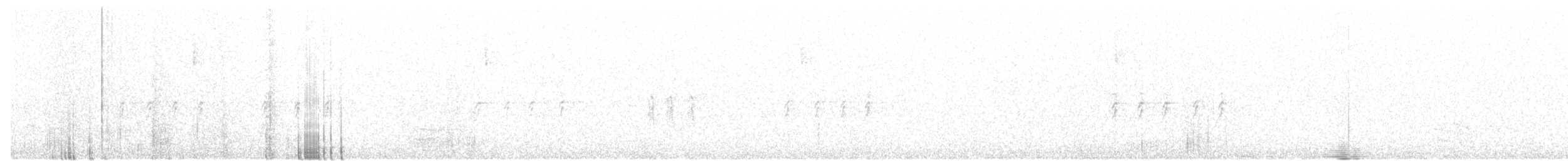 křivka bělokřídlá - ML104519201