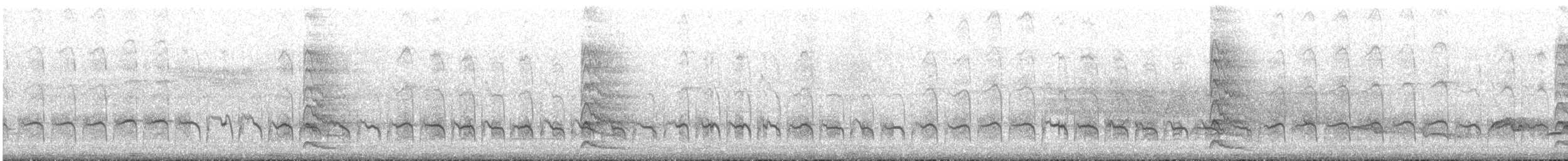 Yellow-bellied Sapsucker - ML104529301