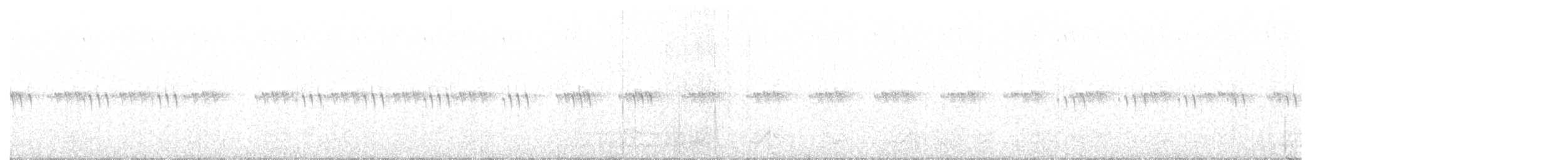 Schwarzkehl-Nachtschwalbe - ML104565321