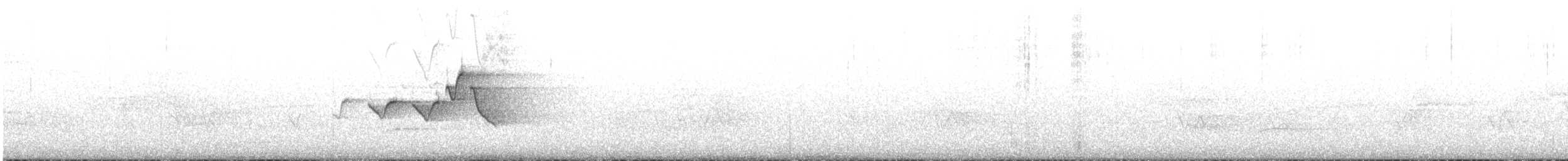 Hooded Warbler - ML104601881