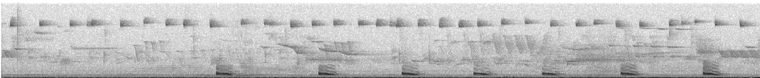 Cuculo americano - ML104603381