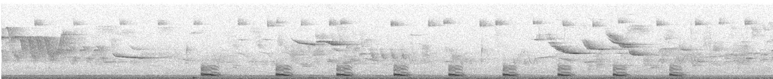 Cuculo americano - ML104603401