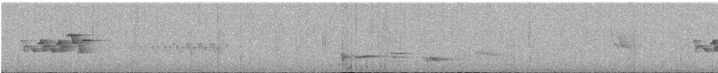 Magnolia Warbler - ML104605231