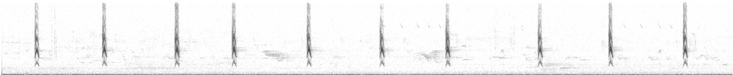 Song Sparrow - ML104606851