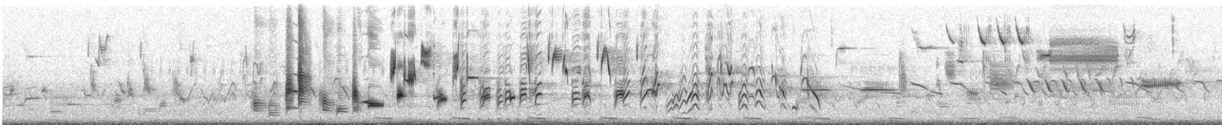 Bobolink - ML104609181