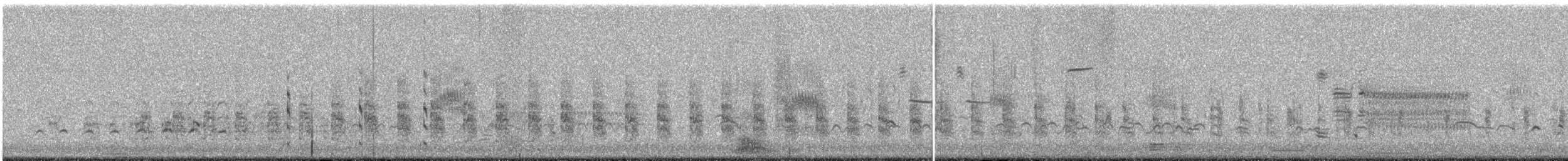 Clapper Rail - ML104611621