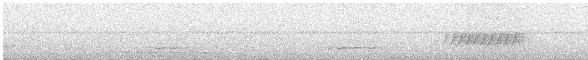 Pine Warbler - ML104695221
