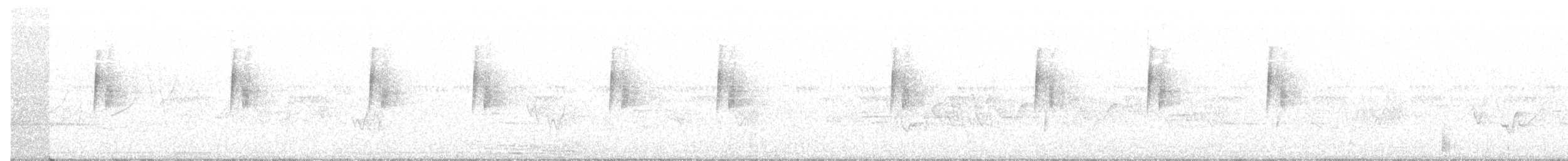 Least Flycatcher - ML104698271