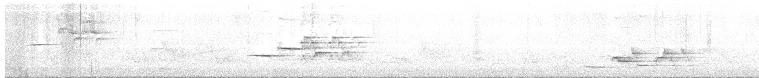 Дрізд-короткодзьоб плямистоволий - ML104700641
