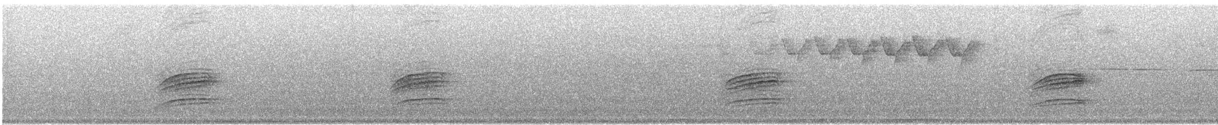 Дрізд-короткодзьоб плямистоволий - ML104706821