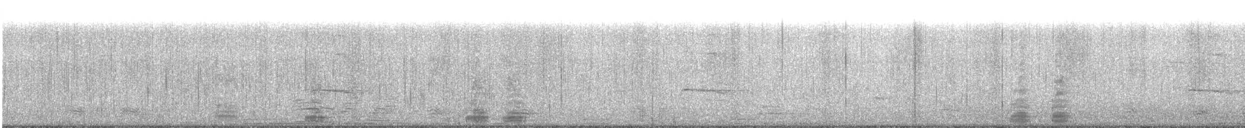 Серый гусь (Одомашненного типа) - ML104724511