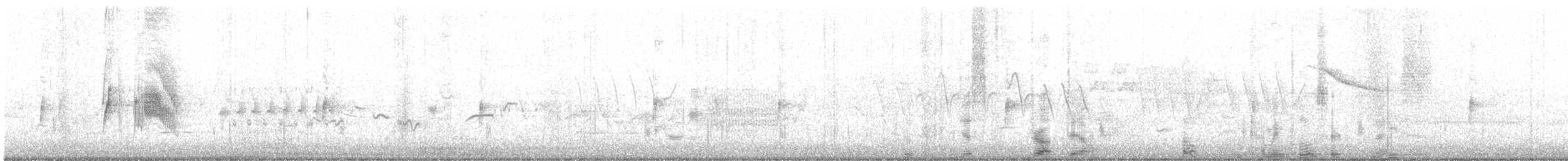 tyranovec vrbový - ML104736071