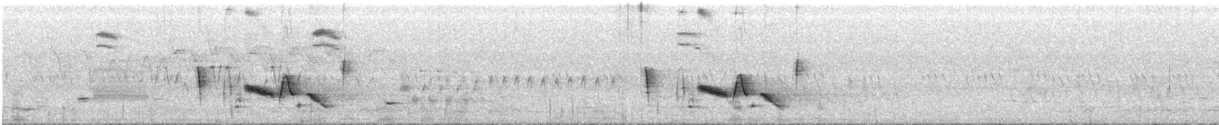 Weißaugenvireo - ML104738701