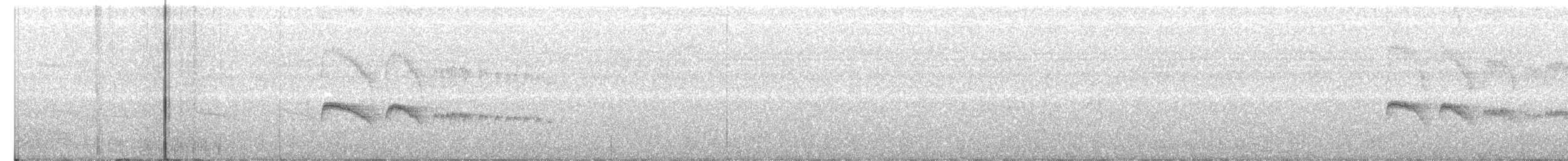 Graubrust-Schnäppertyrann - ML104750311