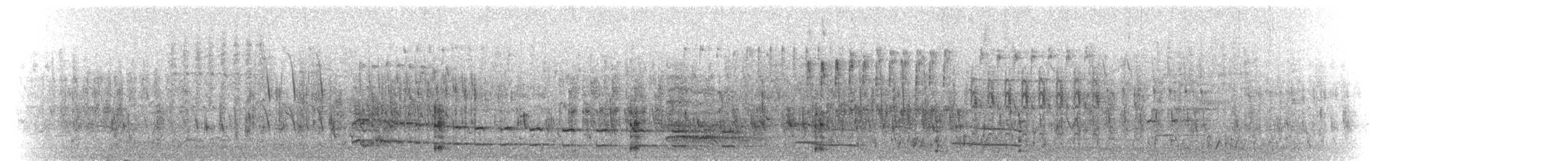 Carolinasumpfhuhn - ML104767121