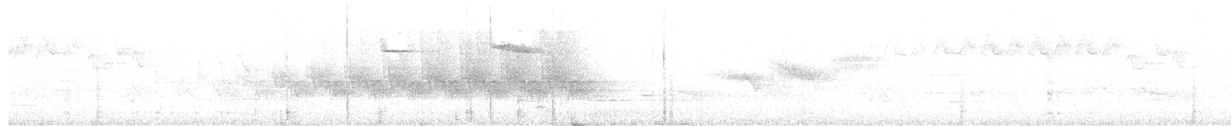 Brown Creeper - ML104807221