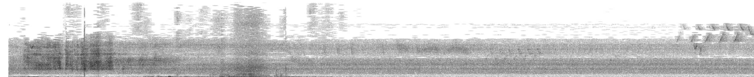lesňáček černobílý - ML104856551