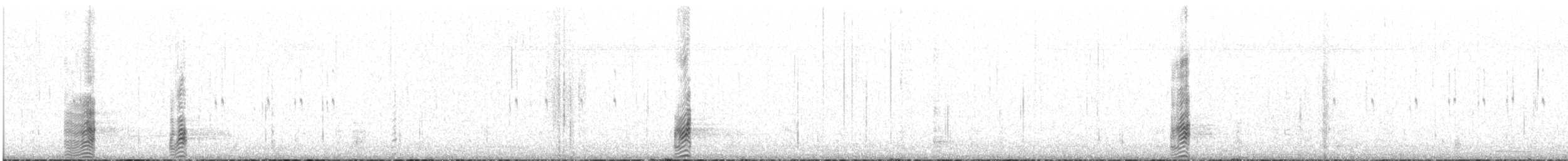 Ibis à face blanche - ML104891531