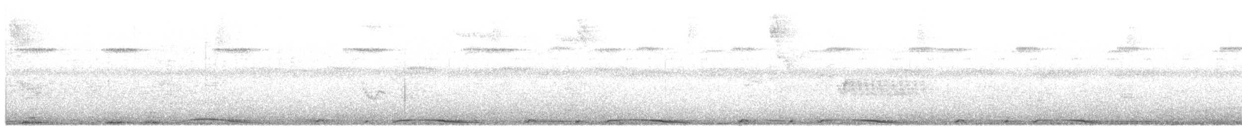 holub neotropický - ML104903311