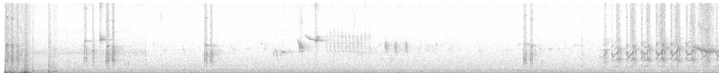 White-headed Woodpecker - ML104945191