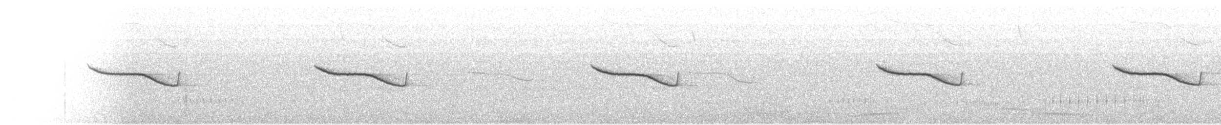Breitspiegel-Nachtschwalbe - ML104945231