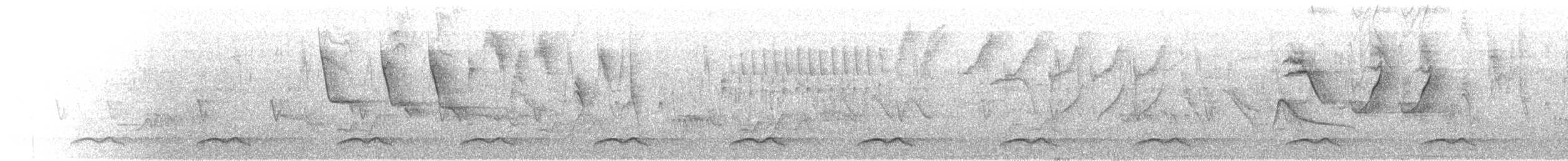 Чернолобый зубцеклювый перепел - ML104945821