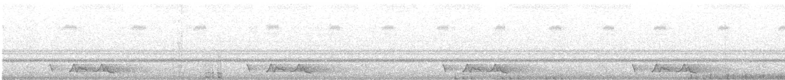 Chuck-will's-widow - ML104981171