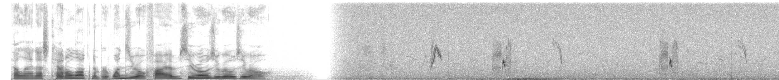 Серый сорокопут [группа elegans] - ML105000