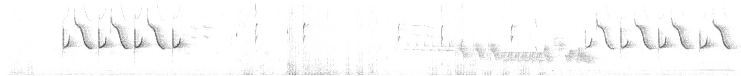 Mésange noire (britannicus/hibernicus) - ML105000721