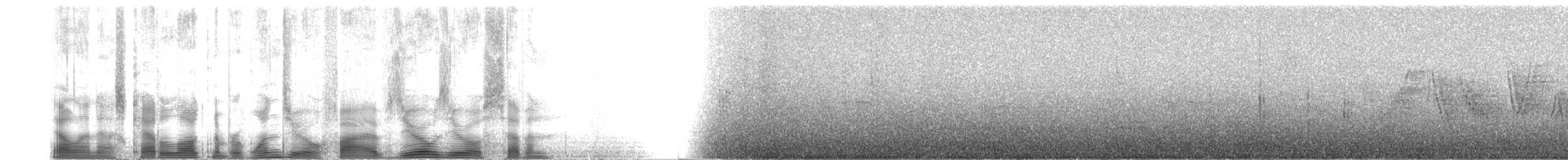 Hirondelle du désert - ML105007